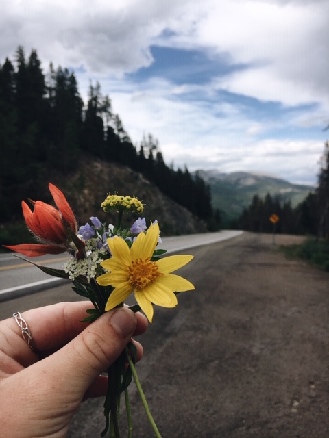 Mountains and flowers