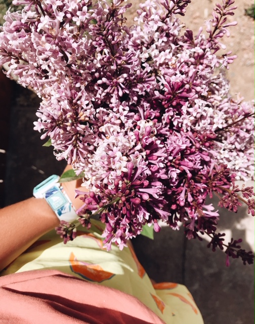 lilacs, patagonia shorts, & shark watch 